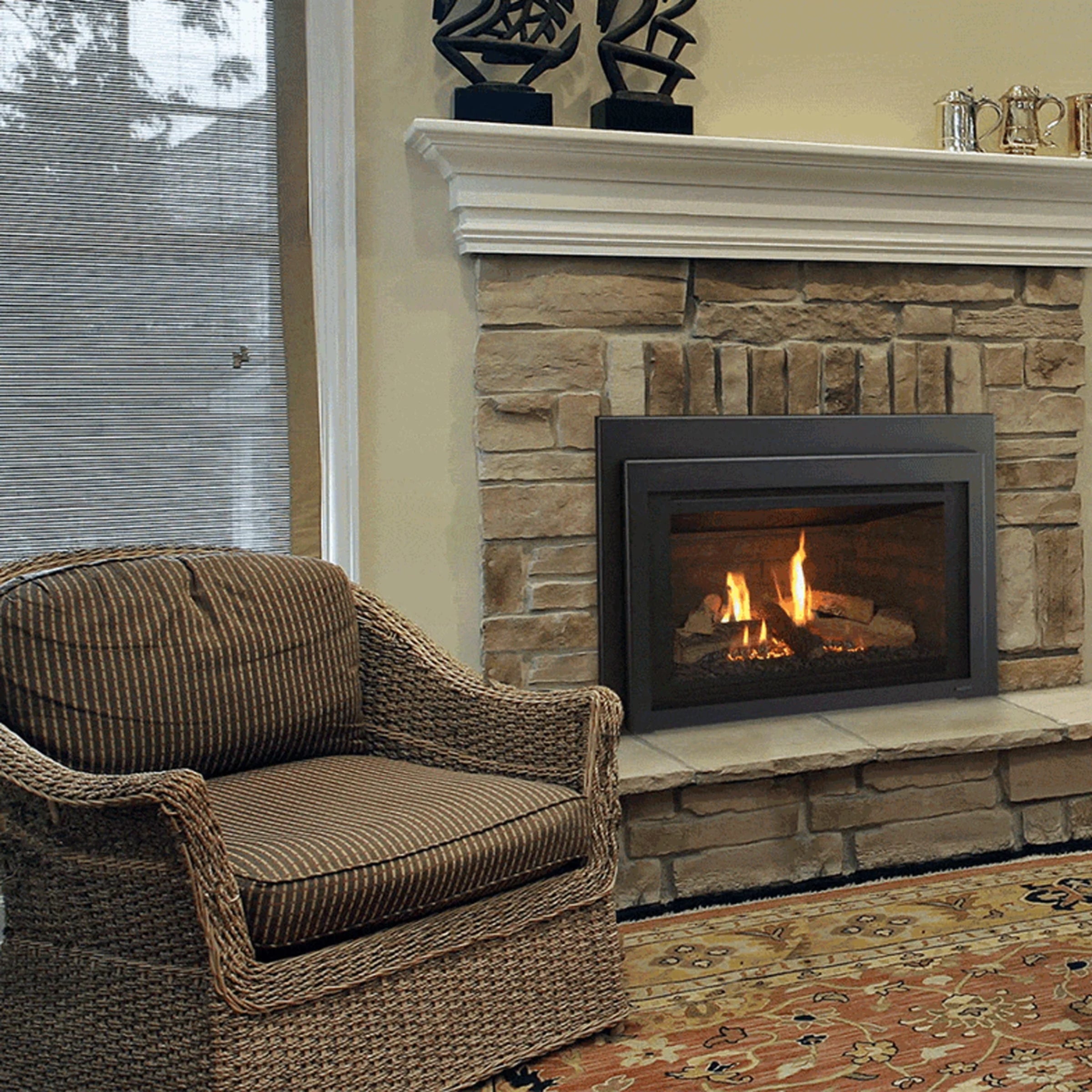 Majestic - Jasper 30" - Direct Vent Gas Fireplace Insert