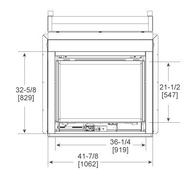 Twilight 36" Indoor/Outdoor See-Through Gas Fireplace